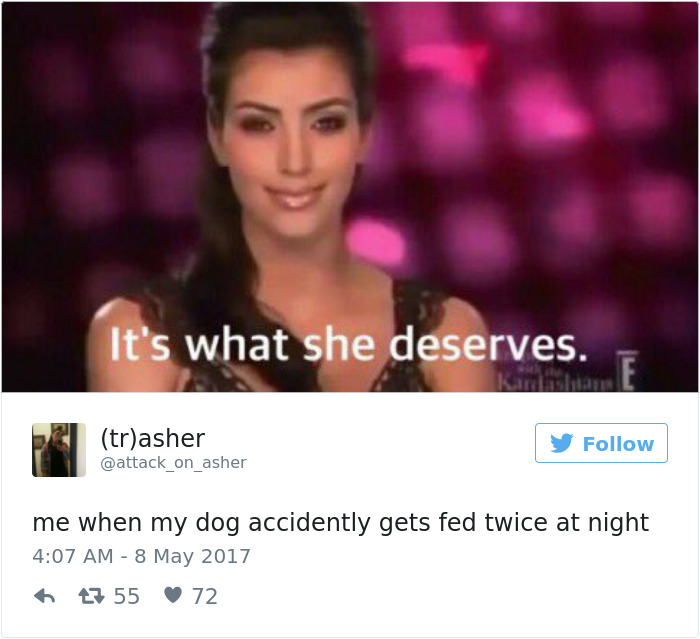 Dog Tweets