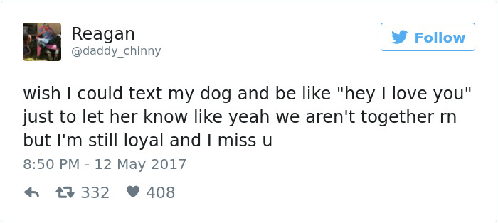 Dog Tweets