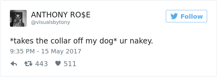 Dog Tweets