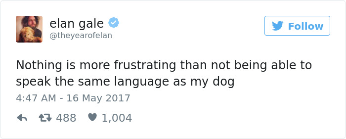 Dog Tweets