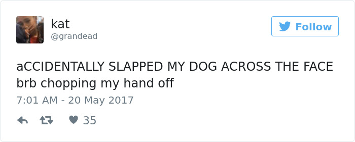 Dog Tweets