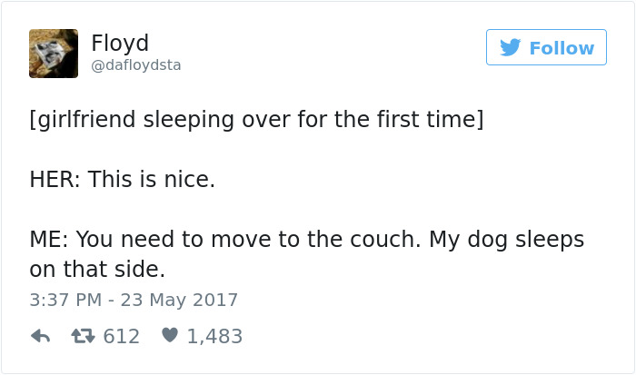 Dog Tweets