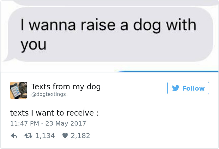 Dog Tweets