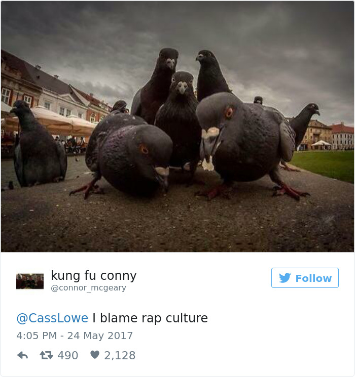 Pigeon Gets Caught Trying To Smuggle Almost 200 Ecstasy Pills Across The Border