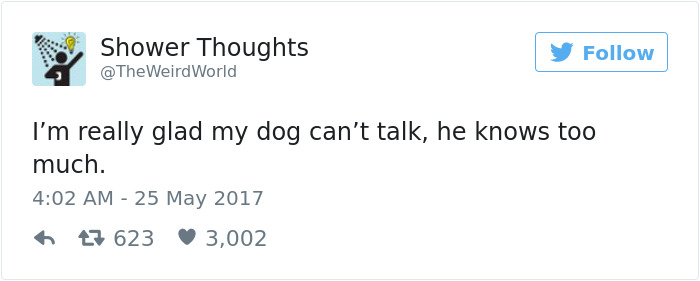Dog Tweets