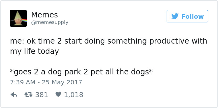Dog Tweets
