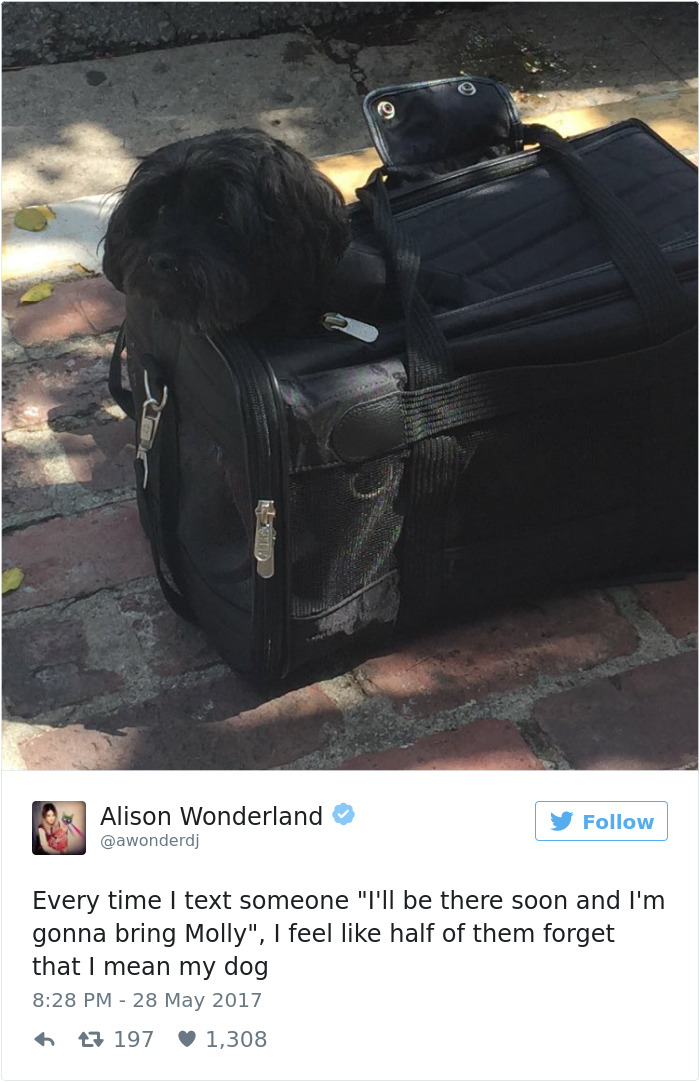 Dog Tweets