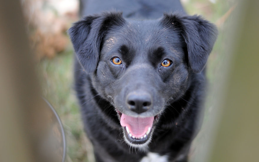 My Family Bought 72 Animals And Moved Up A Mountain