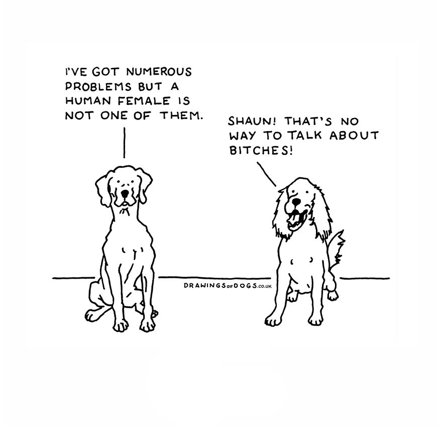 I Started Doing Amusing Drawings Of Dogs When Anxiety Forced Me To Drop Out Of A Philosophy Phd.