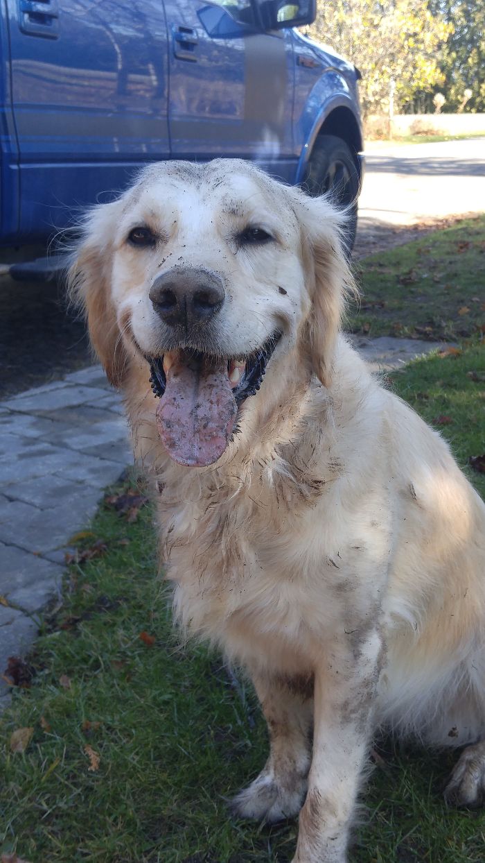 It Was Sooo Worth It.