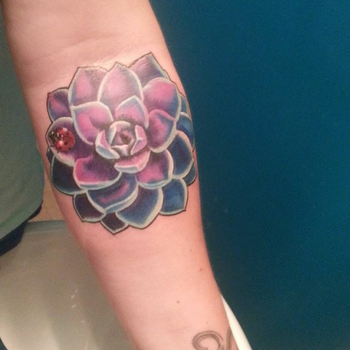 Colorful succulent tattoo on forearm with ladybug design, showcasing vibrant detail for succulent enthusiasts.