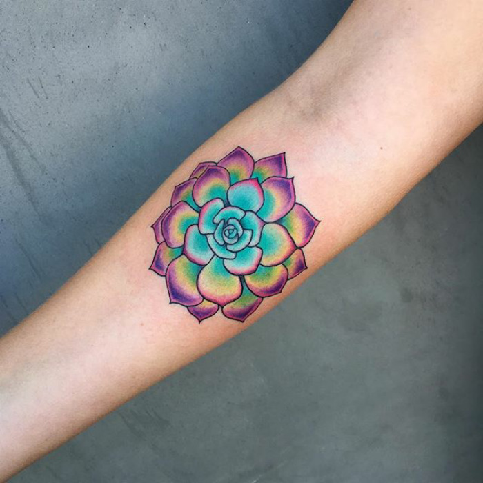 Colorful succulent tattoo on forearm, showcasing intricate design and vibrant hues.