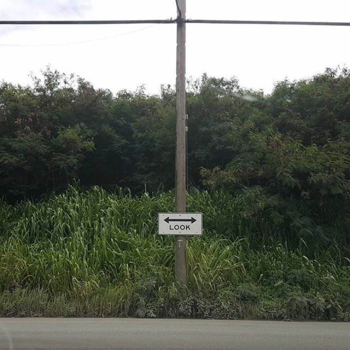 Funny-captain-obvious-signs