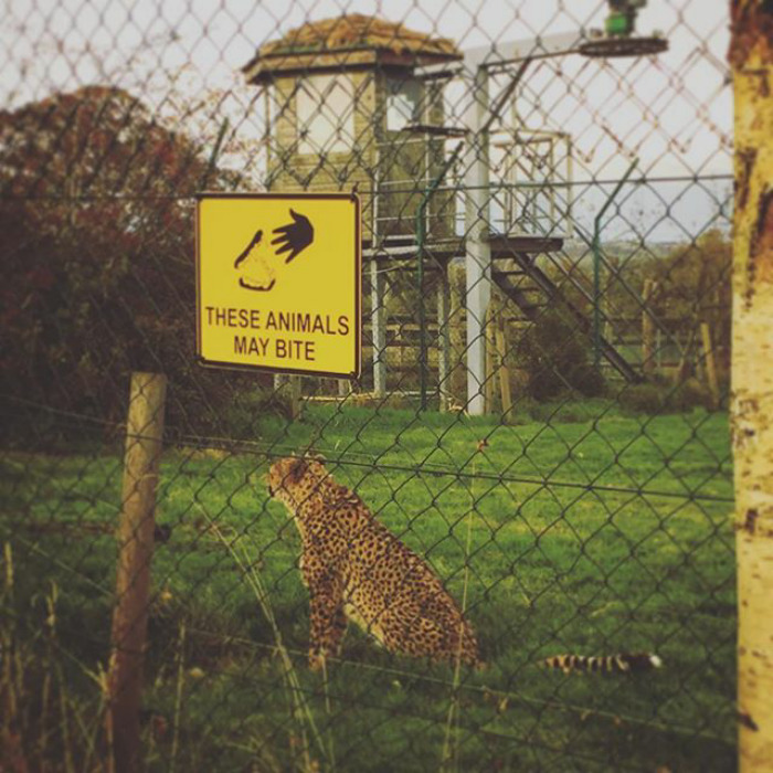 Funny-captain-obvious-signs