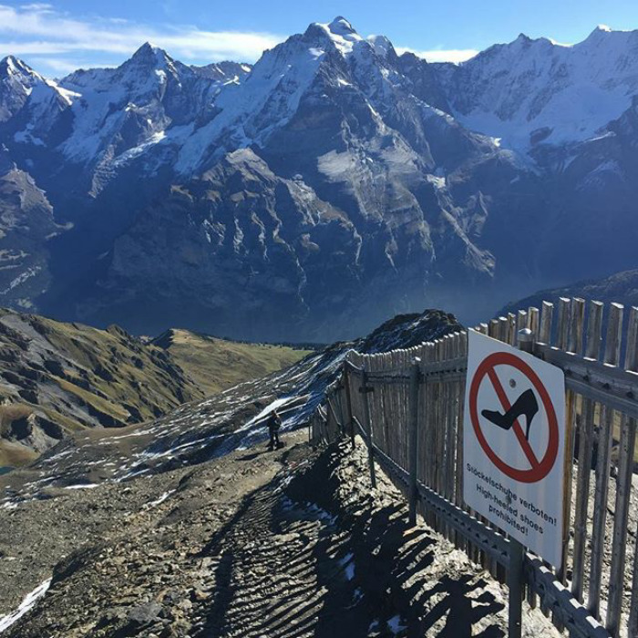 Funny-captain-obvious-signs