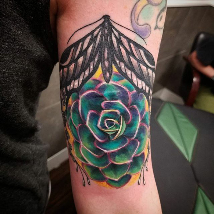 Colorful succulent tattoo with moth design on upper arm.