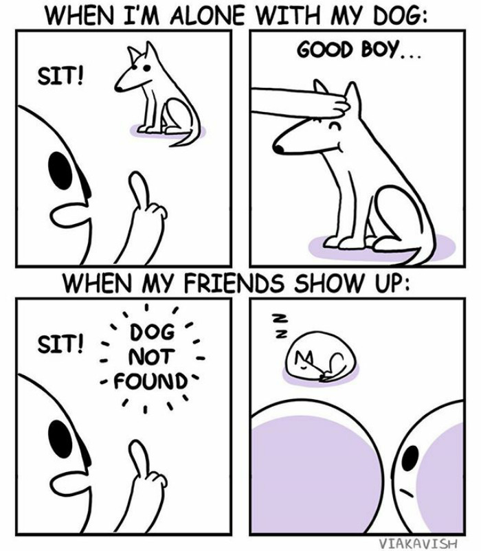 Dog.exe Stopped Working...