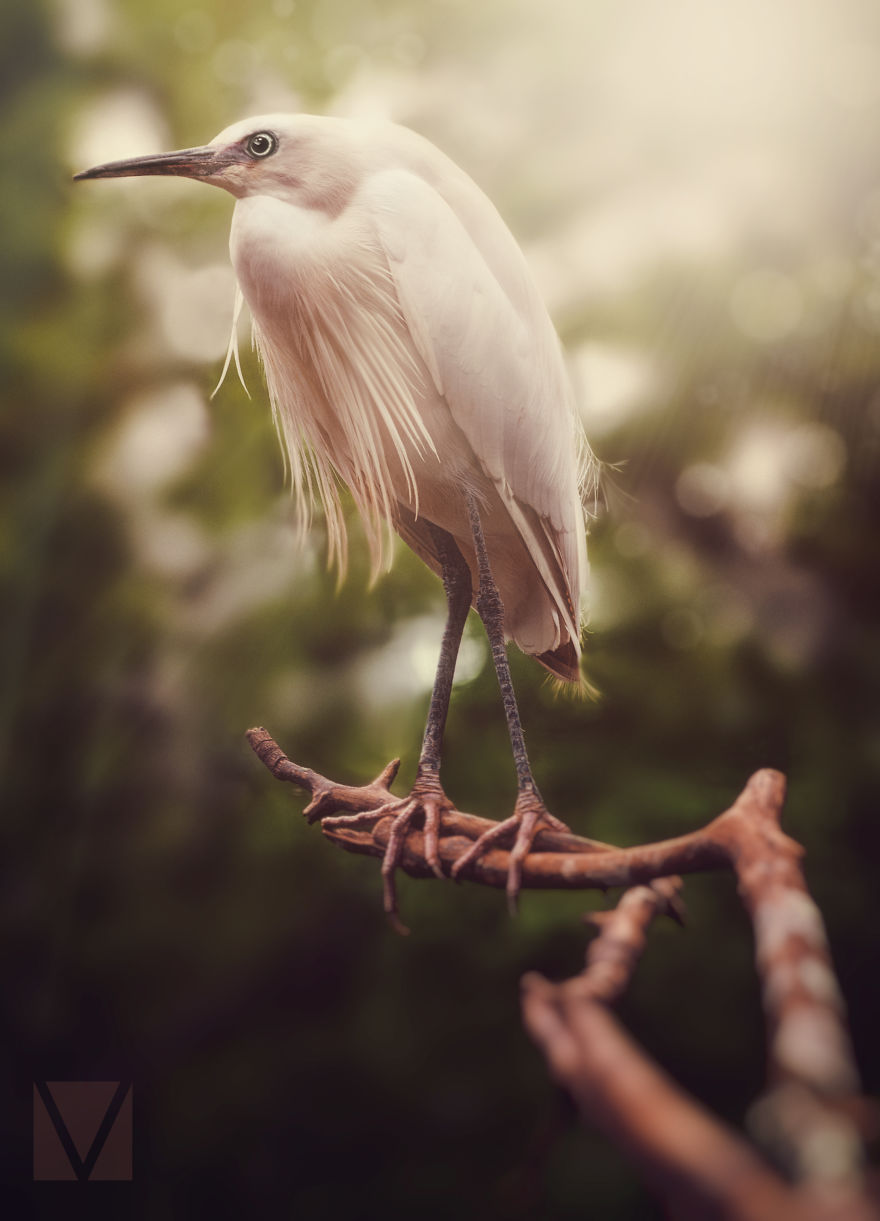 Pink-Flappy-Flyie-Thing