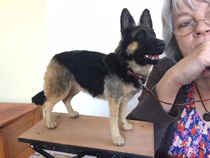 I Made This German Shepherd In 78 Hours From Wool!