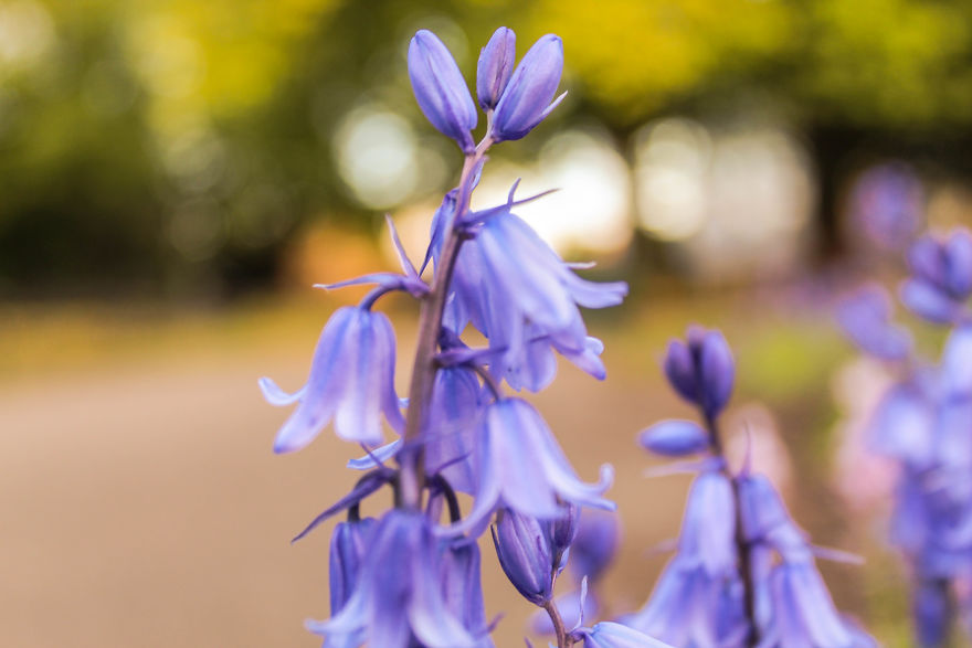 I Spent A Cloudy Afternoon Capturing Hidden Spots In My Neighbourhood I Spent A Cloudy Afternoon Capturing Hidden Spots In My Neighbourhood