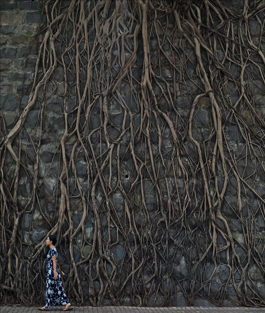 I Celebrate "Littleness" Through My Photography