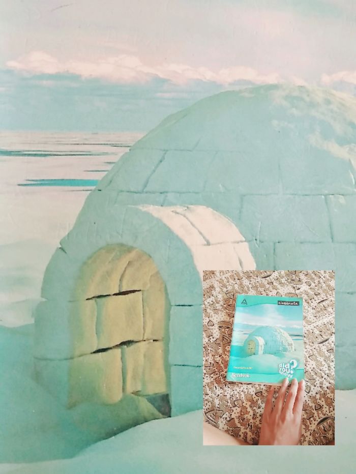 First Time Igloo Experience.. So Excited 🙈😁 #bowwowchallenge