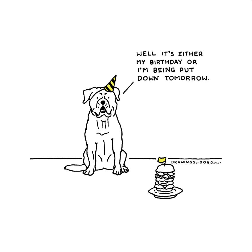 I Started Doing Amusing Drawings Of Dogs When Anxiety Forced Me To Drop Out Of A Philosophy Phd.