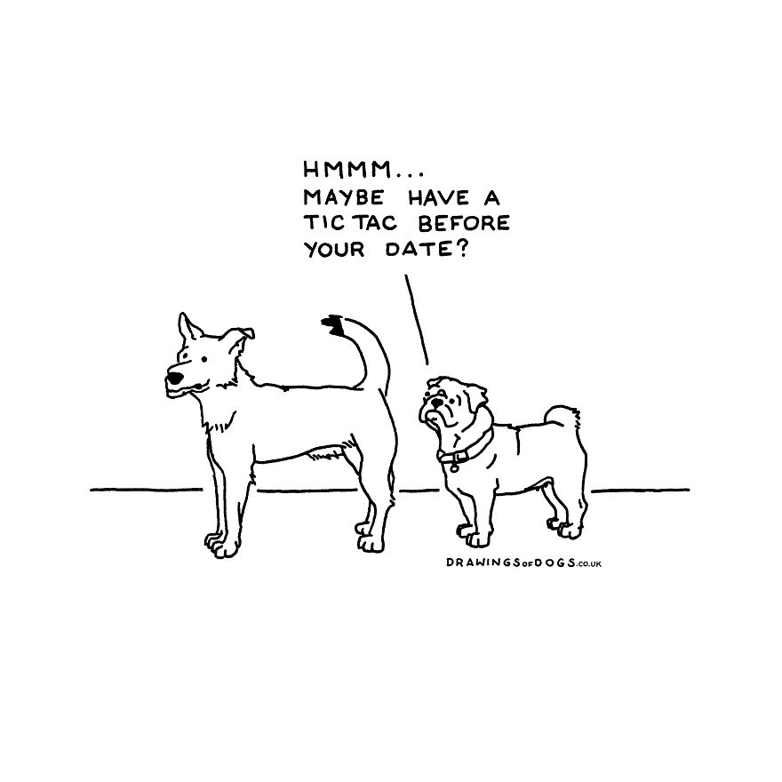 I Started Doing Amusing Drawings Of Dogs When Anxiety Forced Me To Drop Out Of A Philosophy Phd.