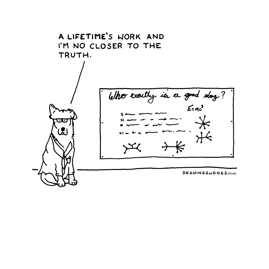 I Started Doing Amusing Drawings Of Dogs When Anxiety Forced Me To Drop Out Of A Philosophy Phd.