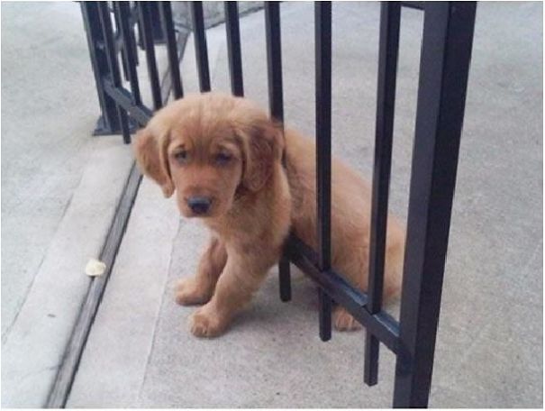 He Is Not Allowed To Go Outside.