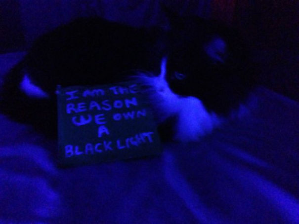 Blacklight Shaming