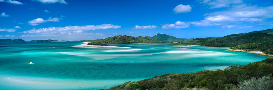 I Bought A $60,000 Digital Camera But I Still Prefer Film. Can You Spot The Difference?