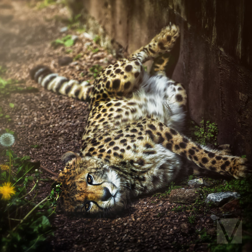 Someone Got The "Boudoir Shoot" Memo