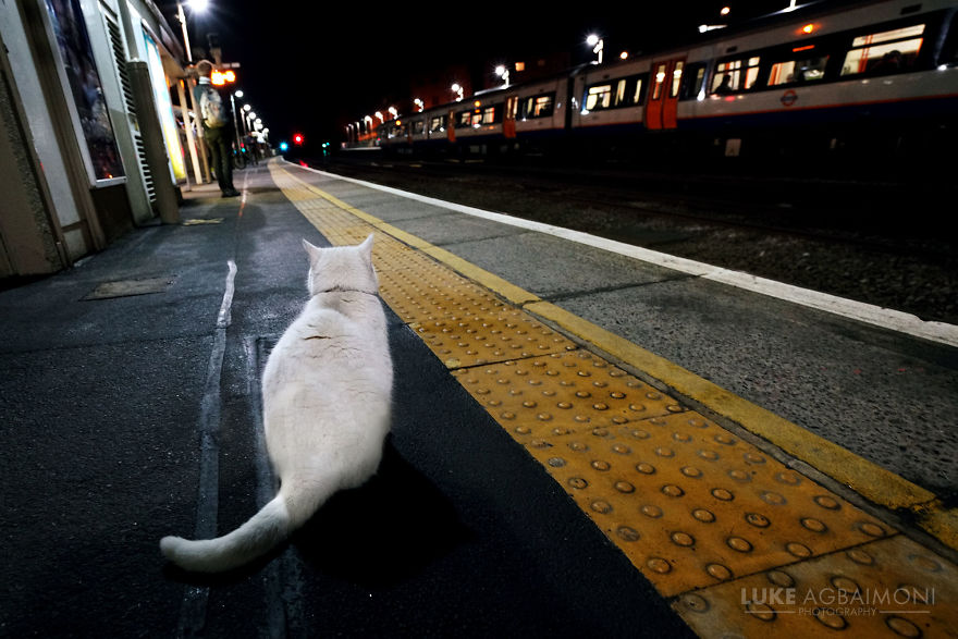 London Photographer Captures Awesome Shots Of People Waiting For Trains London Photographer Captures Awesome Shots Of People Waiting For Trains