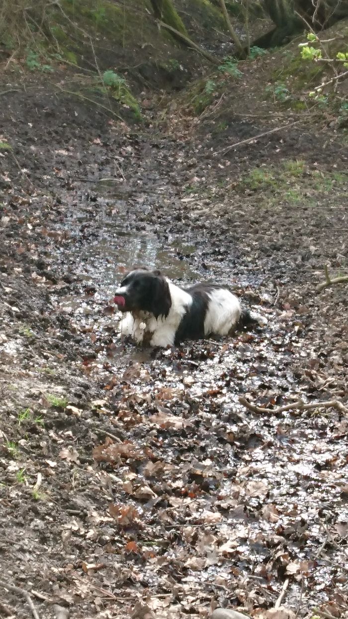 She's Loves A Wallow