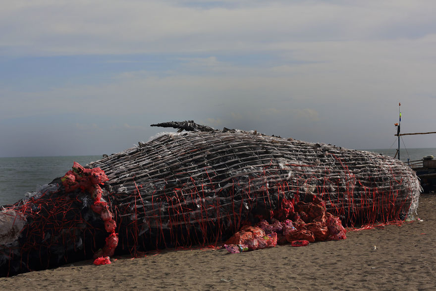 “Dead Whale” Of The Philippines Reminds Us That Ocean Pollution Is Getting Out Of Control