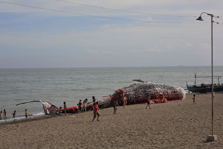 “Dead Whale” Of The Philippines Reminds Us That Ocean Pollution Is Getting Out Of Control