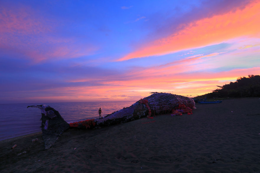 “Dead Whale” Of The Philippines Reminds Us That Ocean Pollution Is Getting Out Of Control “Dead Whale” Of The Philippines Reminds Us That Ocean Pollution Is Getting Out Of Control