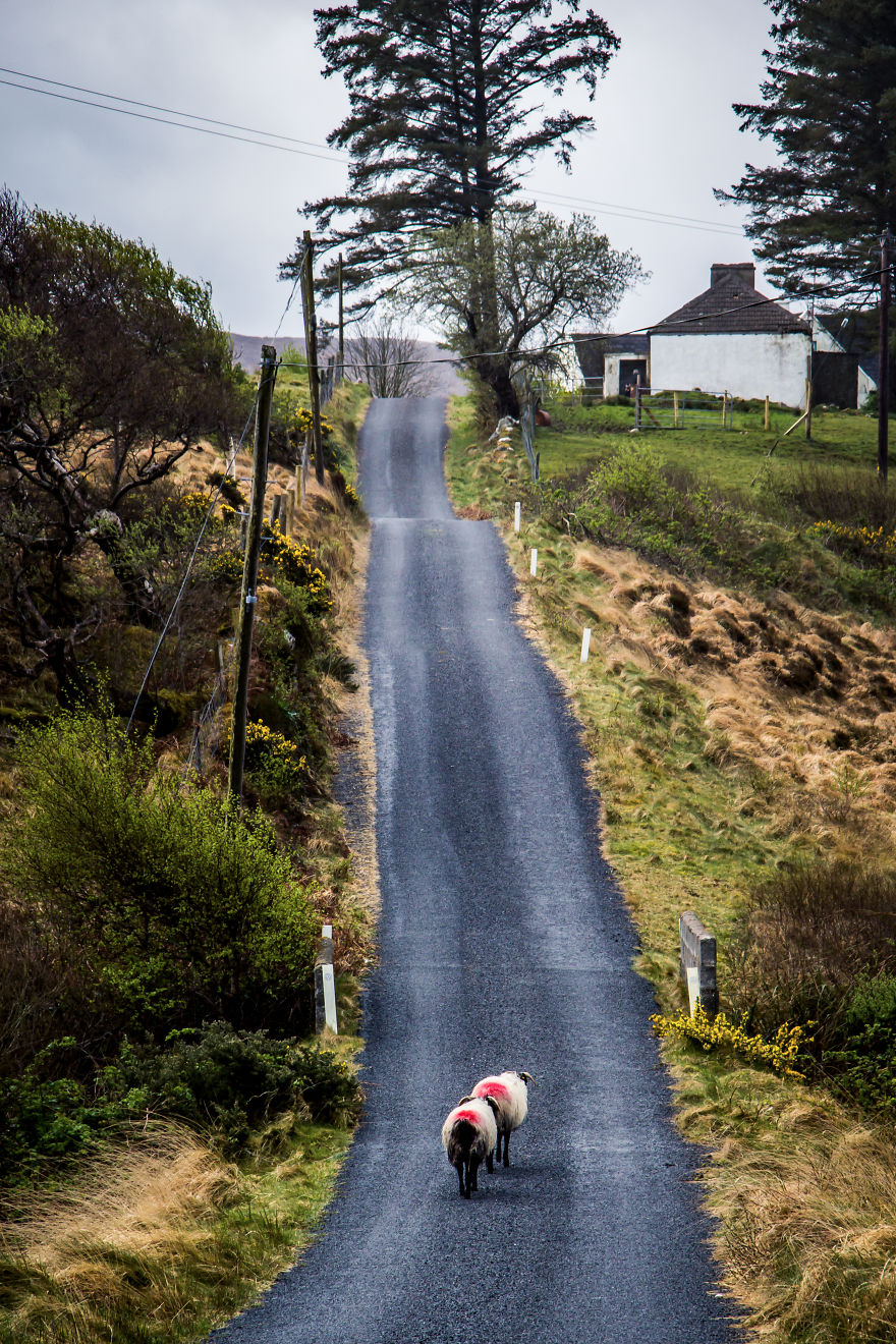 Driving The Wild Atlantic Way In Ireland Felt Like Checking An Important Bucket-list-item