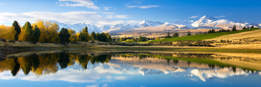 I Bought A $60,000 Digital Camera But I Still Prefer Film. Can You Spot The Difference?