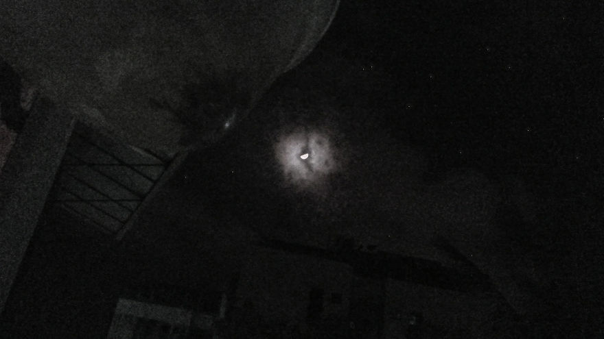 God Texts Me Smiles :) [50+pics Facetime God]