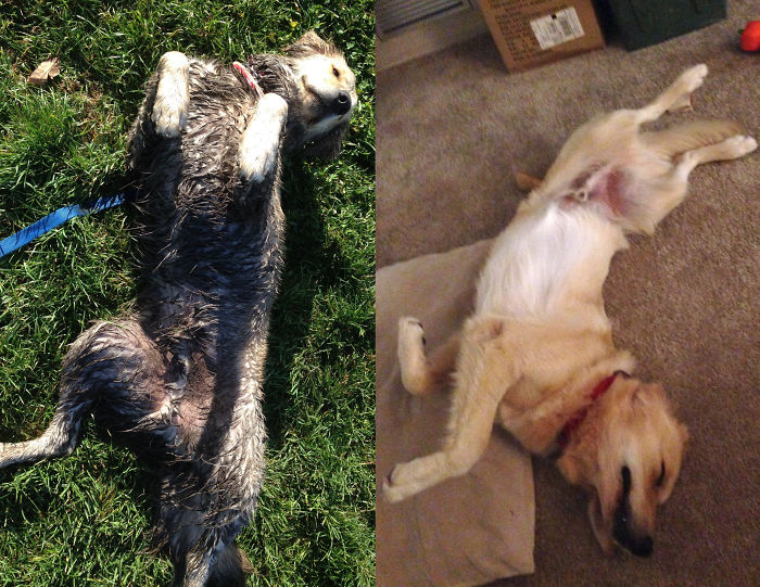 Play Hard, Sleep Well