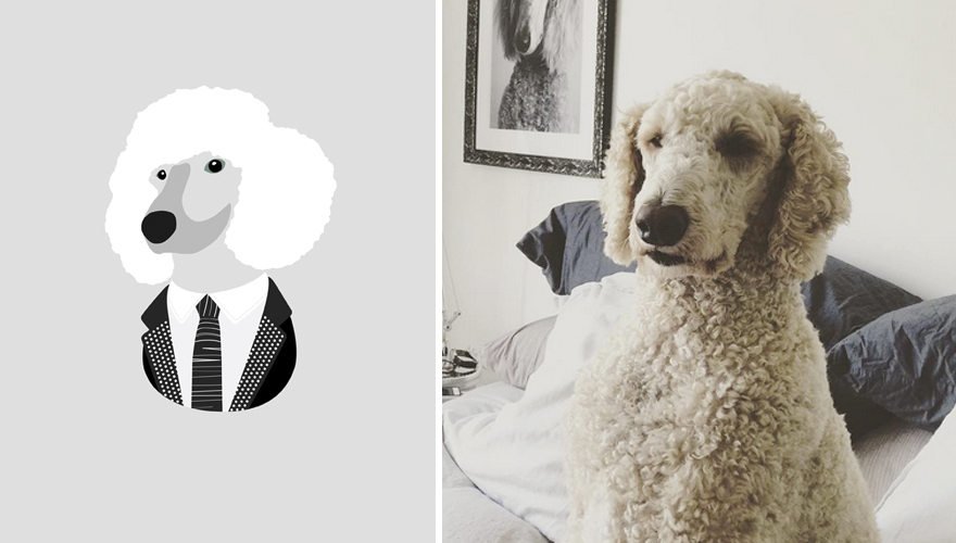 Rufus, He Is Extremely Chilled, Relaxed And Super Cool. He's Just Like Ryan Gosling But With Afro Hair