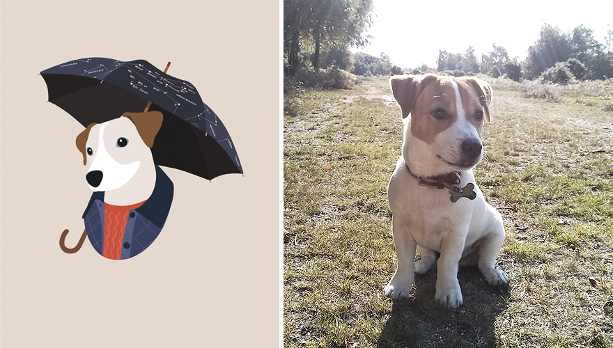 Arthur, Although He's A Country Gentleman But He Hates Rain And Cold Weather