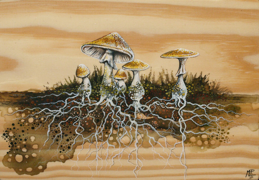 I Make Fantastical Nature Inspired Illustrations