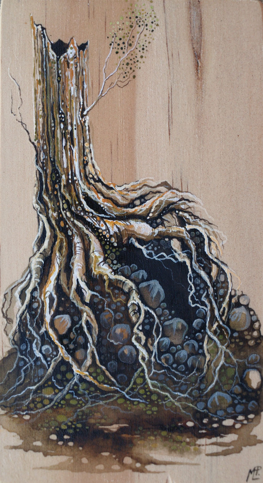 I Make Fantastical Nature Inspired Illustrations