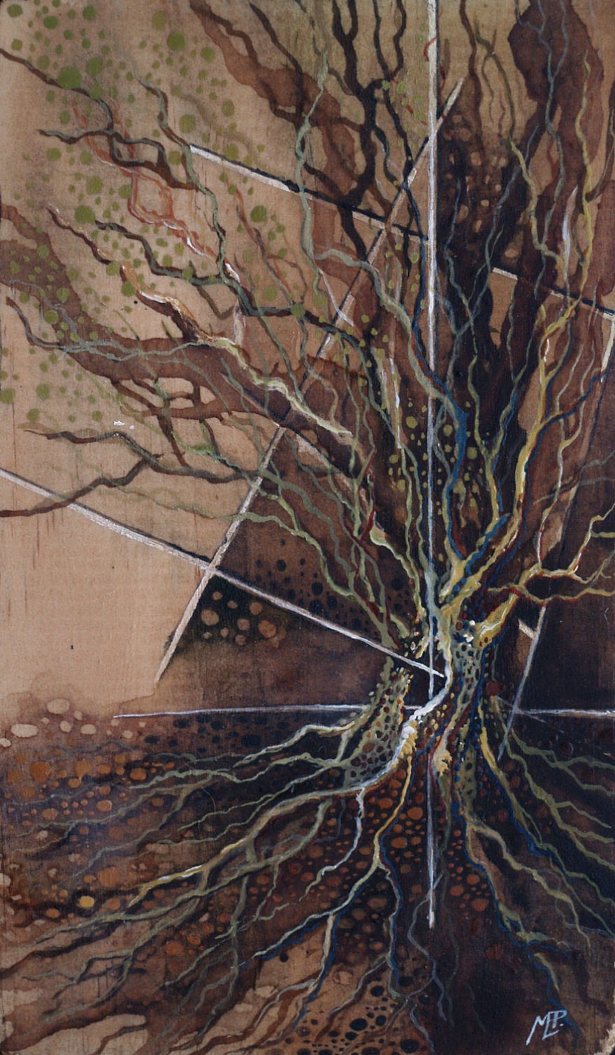 I Make Fantastical Nature Inspired Illustrations