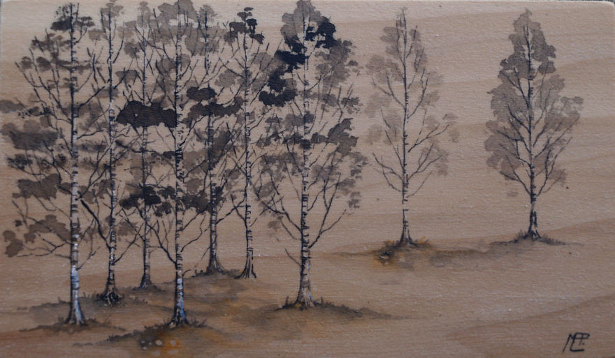 I Make Fantastical Nature Inspired Illustrations