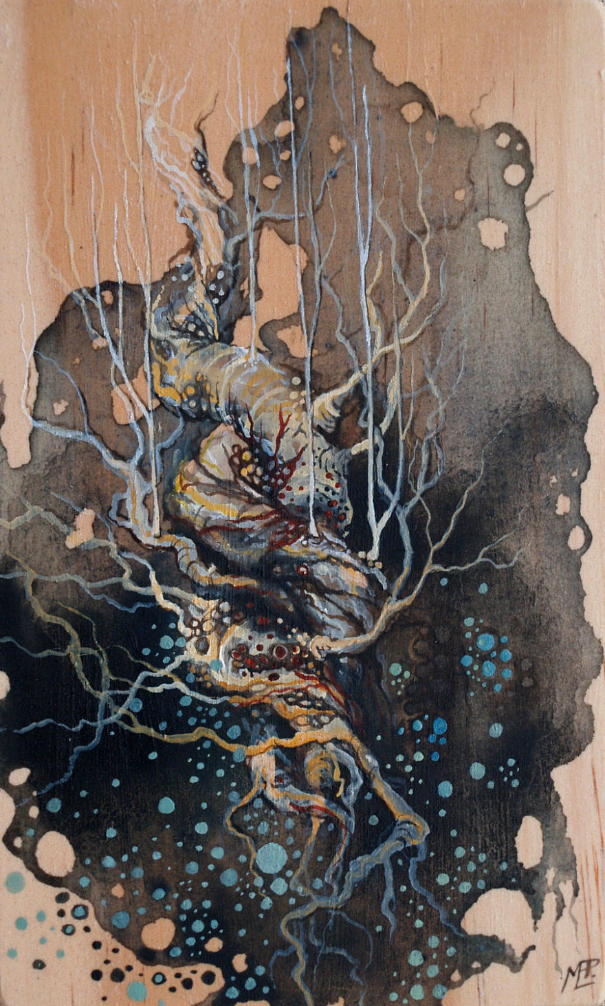 I Make Fantastical Nature Inspired Illustrations