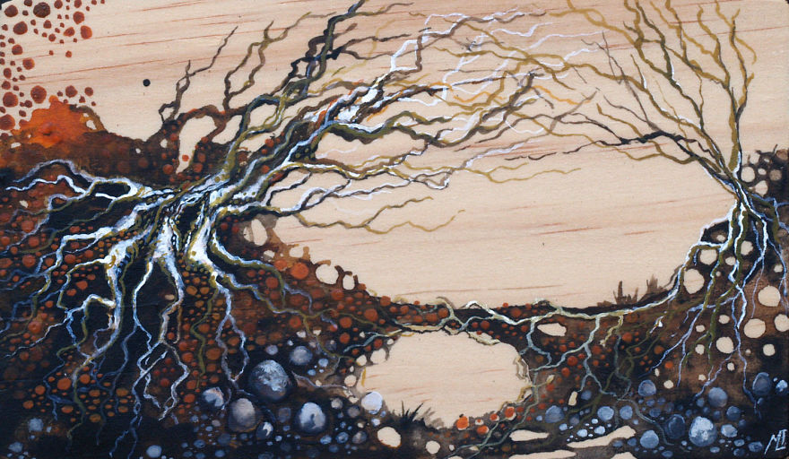 I Make Fantastical Nature Inspired Illustrations